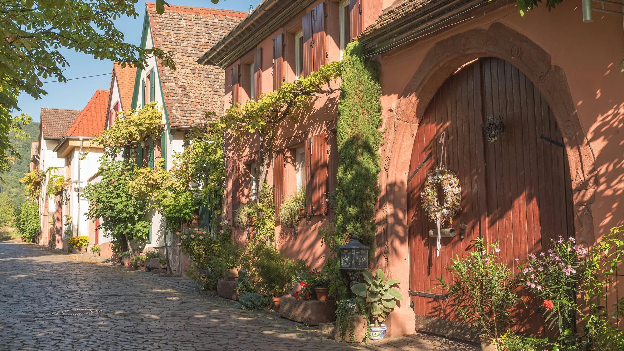 Die berühmte Theresienstraße im malerischen Weindorf Rhodt unter Rietburg an der Deutschen Weinstraße in Rheinland-Pfalz.