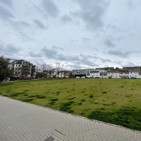 Blick auf die Fläche, die zu großen Teilen mit Rasen eingesät ist.