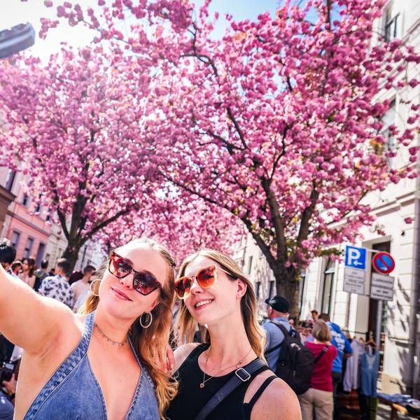 Die berühmte Kirschblüte steht am Samstag in voller Blüte, Dana (l-r) aus Wettringen und Joelina aus München machen ein Selfie mit ihrem Smartphone.