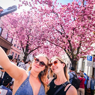 Die berühmte Kirschblüte steht am Samstag in voller Blüte, Dana (l-r) aus Wettringen und Joelina aus München machen ein Selfie mit ihrem Smartphone.