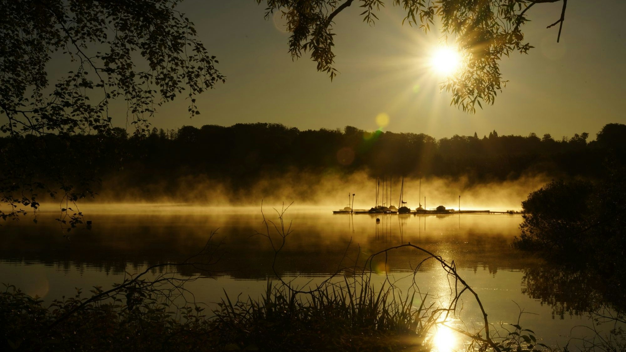 Platz 1: Das Foto des Jahres 2025 von Joachim Kühn aus Gummersbach entstand an der Bruchertalsperre.