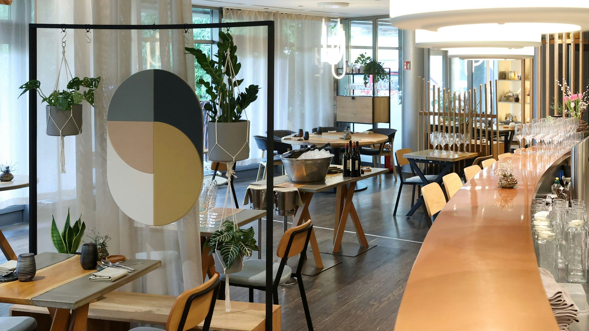 Der pur wirkende Gastraum in Holztönen mit dunklem Boden und einigen Pflanzen ist zu sehen.