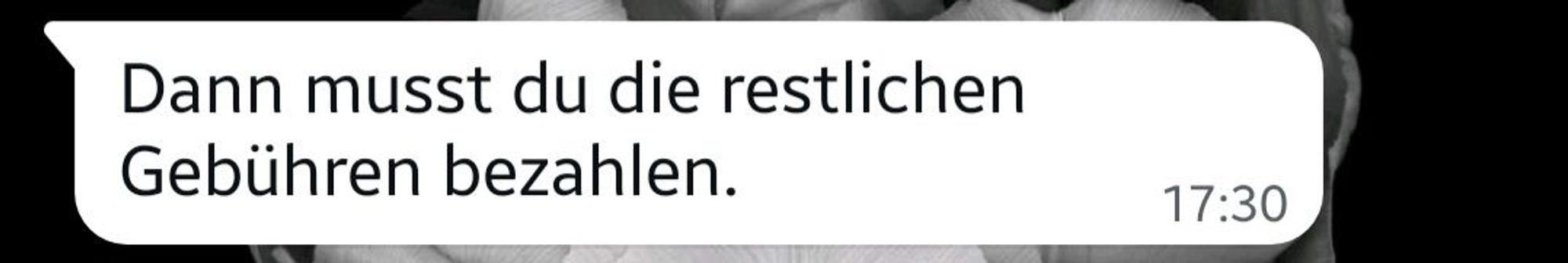 Chatnachricht des Betrügers