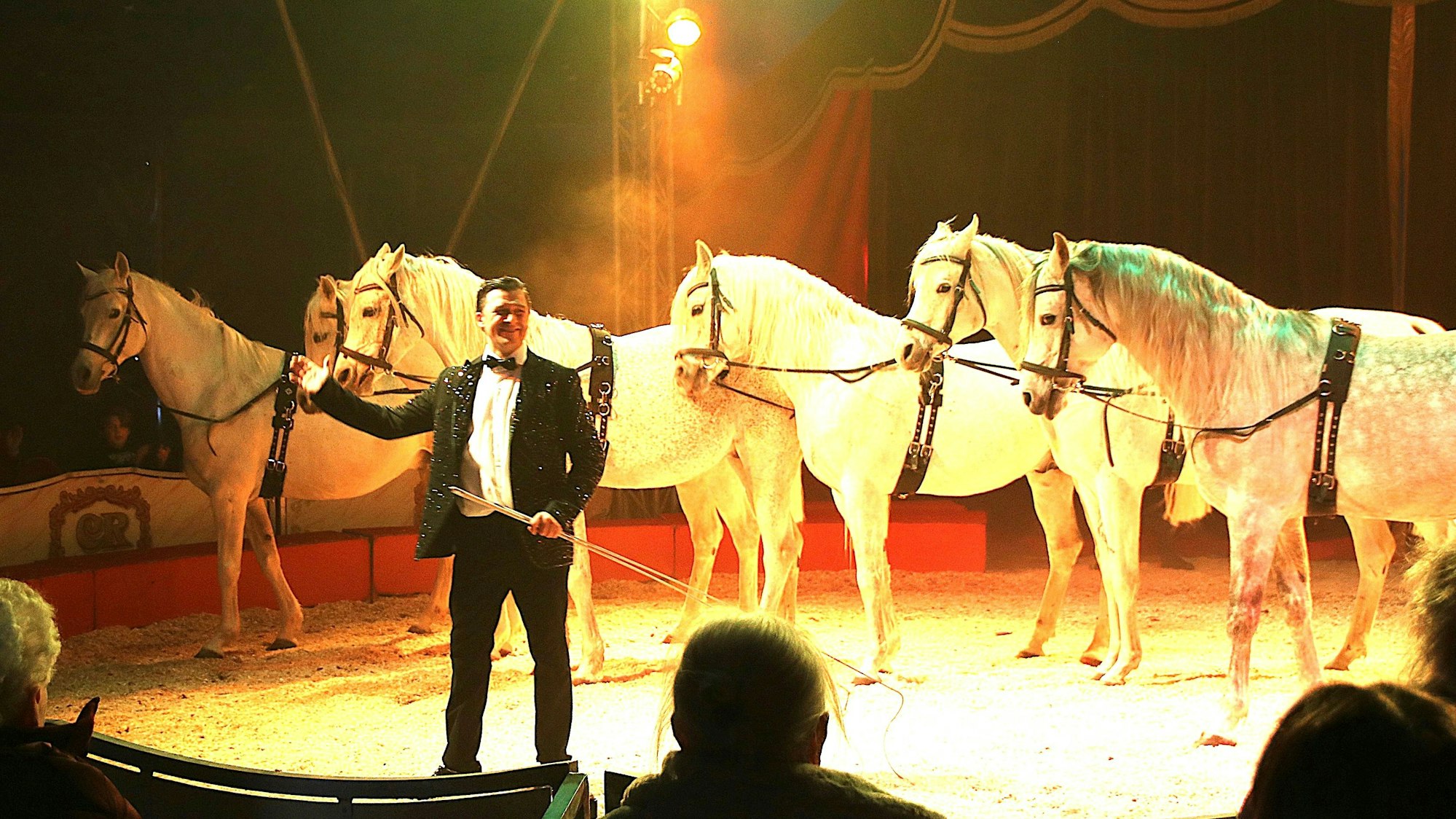 Neben Clowns, Lamas und Kamelen präsentierte Zirkusdirektor Rudolf Renz stolz seine sechs weißen Araberhengste, die für Begeisterung sorgten.