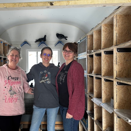 Drei Frauen blicken lächelnd in die Kamera. Im Hintergrund sitzen Tauben.