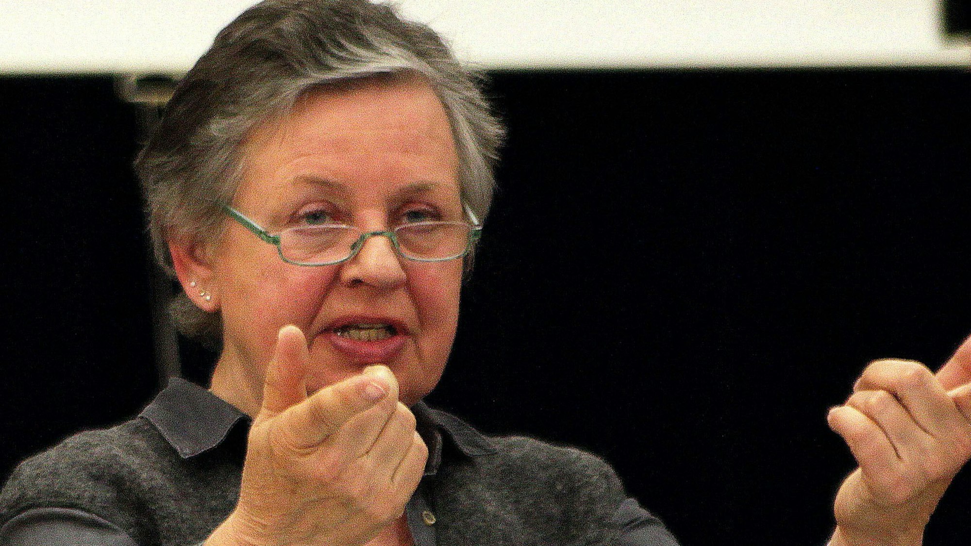 Jutta Schnütgen-Weber stellte der Kreistagsfraktion der Grünen ein Armutszeugnis aus.