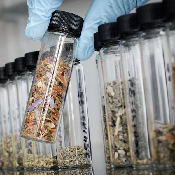 Eine mit Drogen versetzte „Kräutermischung“ („Spice“) ist derzeit Gegenstand einer Verhandlung am Landgericht Köln.