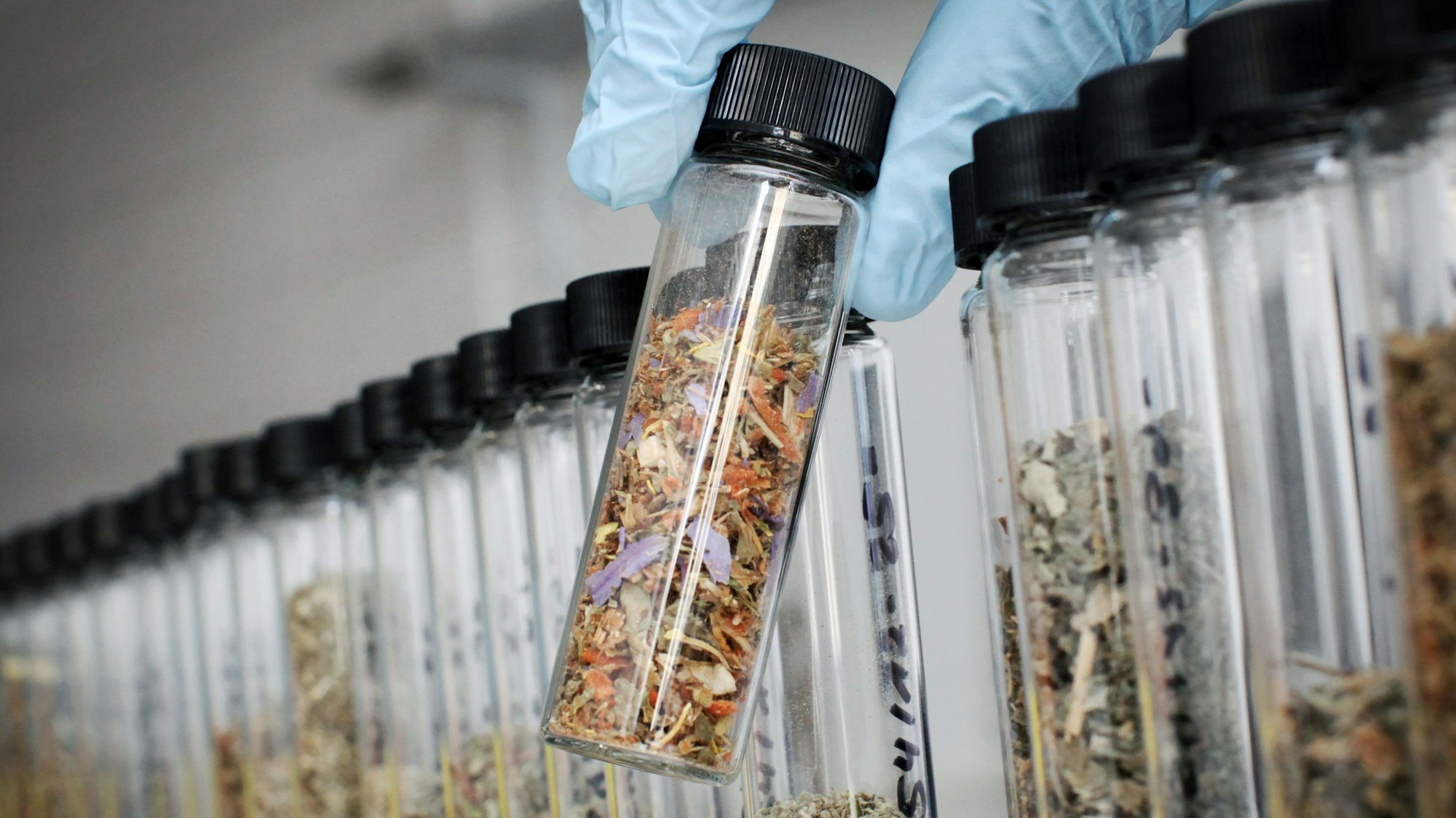 Eine mit Drogen versetzte „Kräutermischung“ („Spice“) ist derzeit Gegenstand einer Verhandlung am Landgericht Köln.