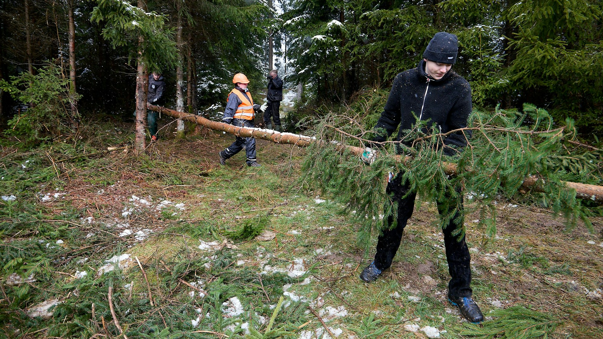 Zwei Helfer tragen einen Holzstamm aus dem Wald.