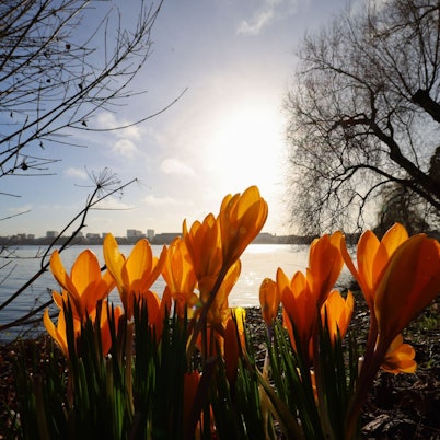 In der nächsten Woche wird es wieder wärmer und sonniger.