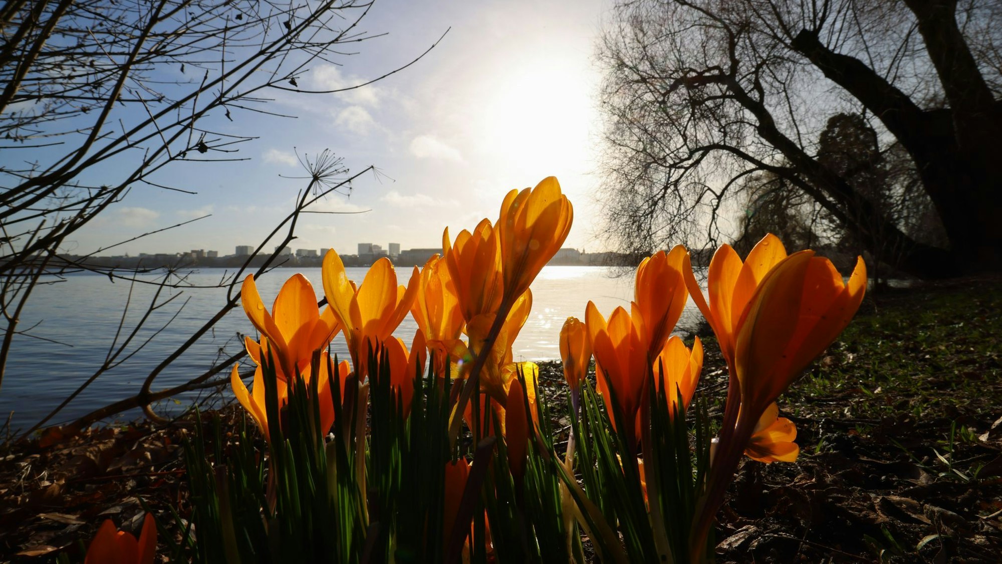 In der nächsten Woche wird es wieder wärmer und sonniger.