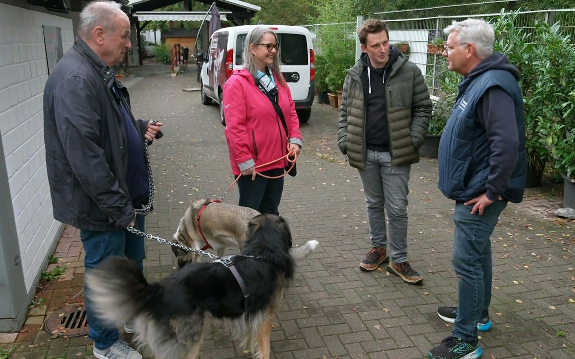 Tatjana und Thomas wollen die beiden zwölfjährigen Hunde kennenlernen. (Bild: RTL)