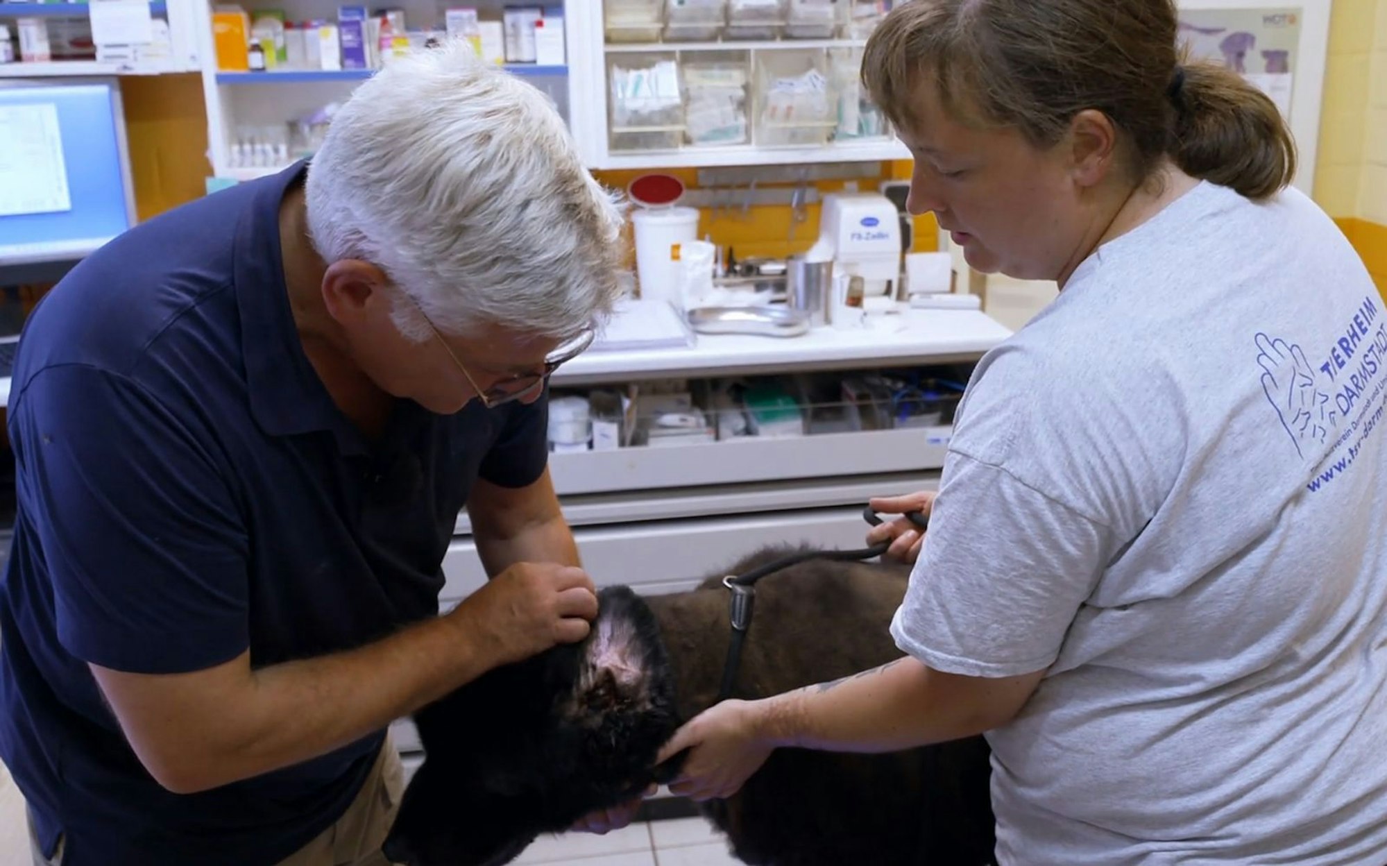 Tierheimleiter Christian Zentgraf betreut die „Unvermittelbaren“ auch als Tierarzt. (Bild: RTL)