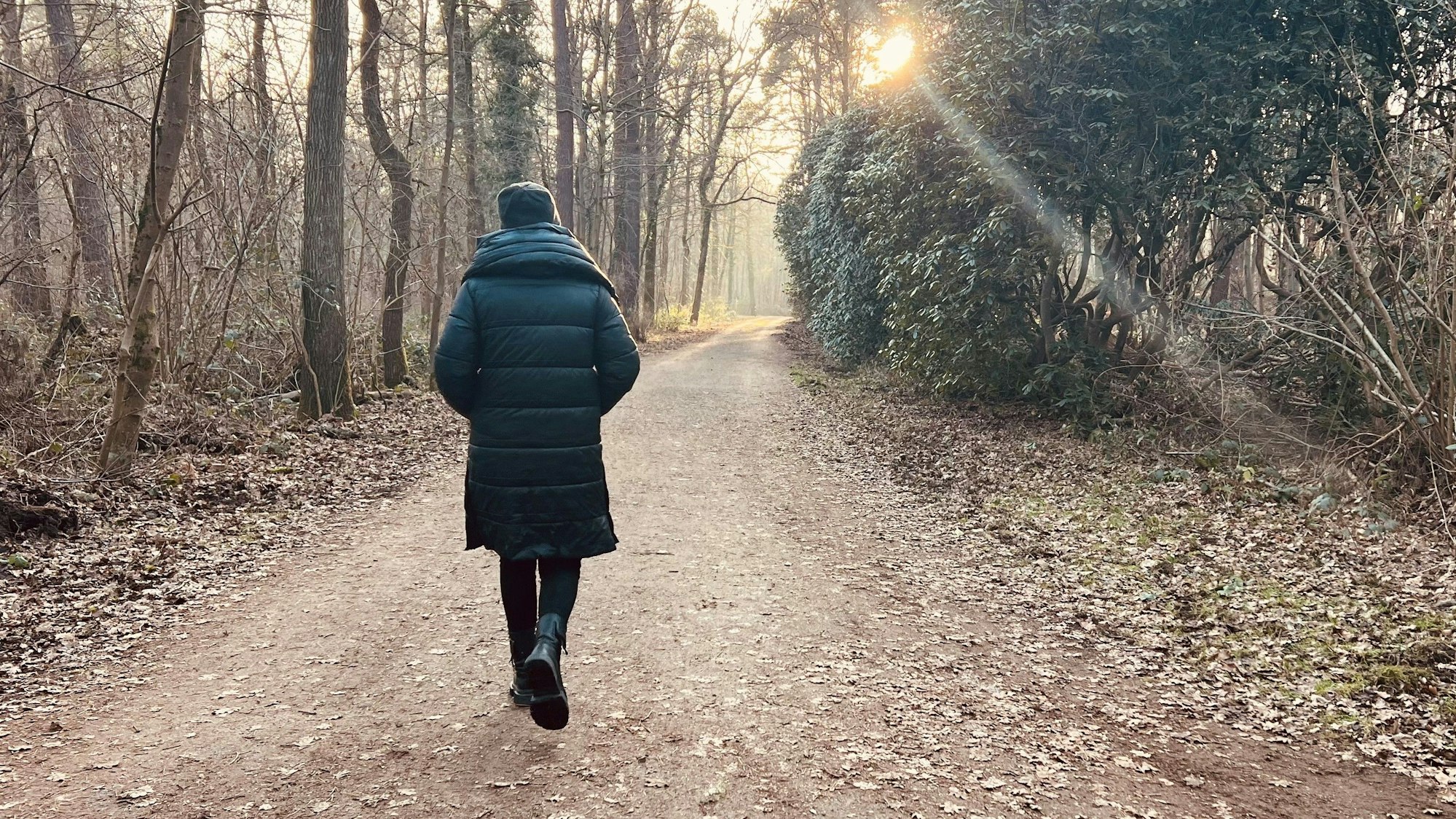Eine Frau geht mit dem Rücken zur Kamera durch einen Wald.