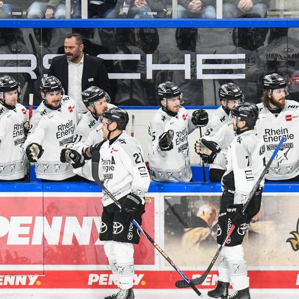 Spieler der Kölner Haie klatschen nach einem Tor mit der Bank ab.