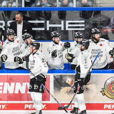 Spieler der Kölner Haie klatschen nach einem Tor mit der Bank ab.