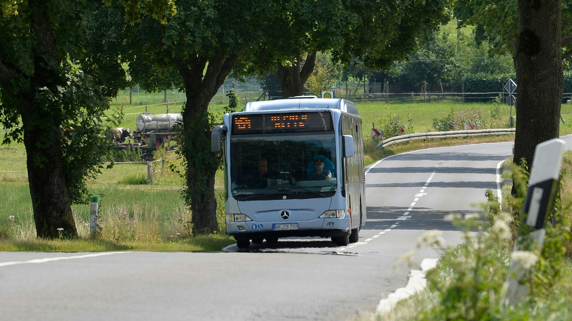 Ein Bus fährt durch die Allee zwischen Herkenrath und Spitze.