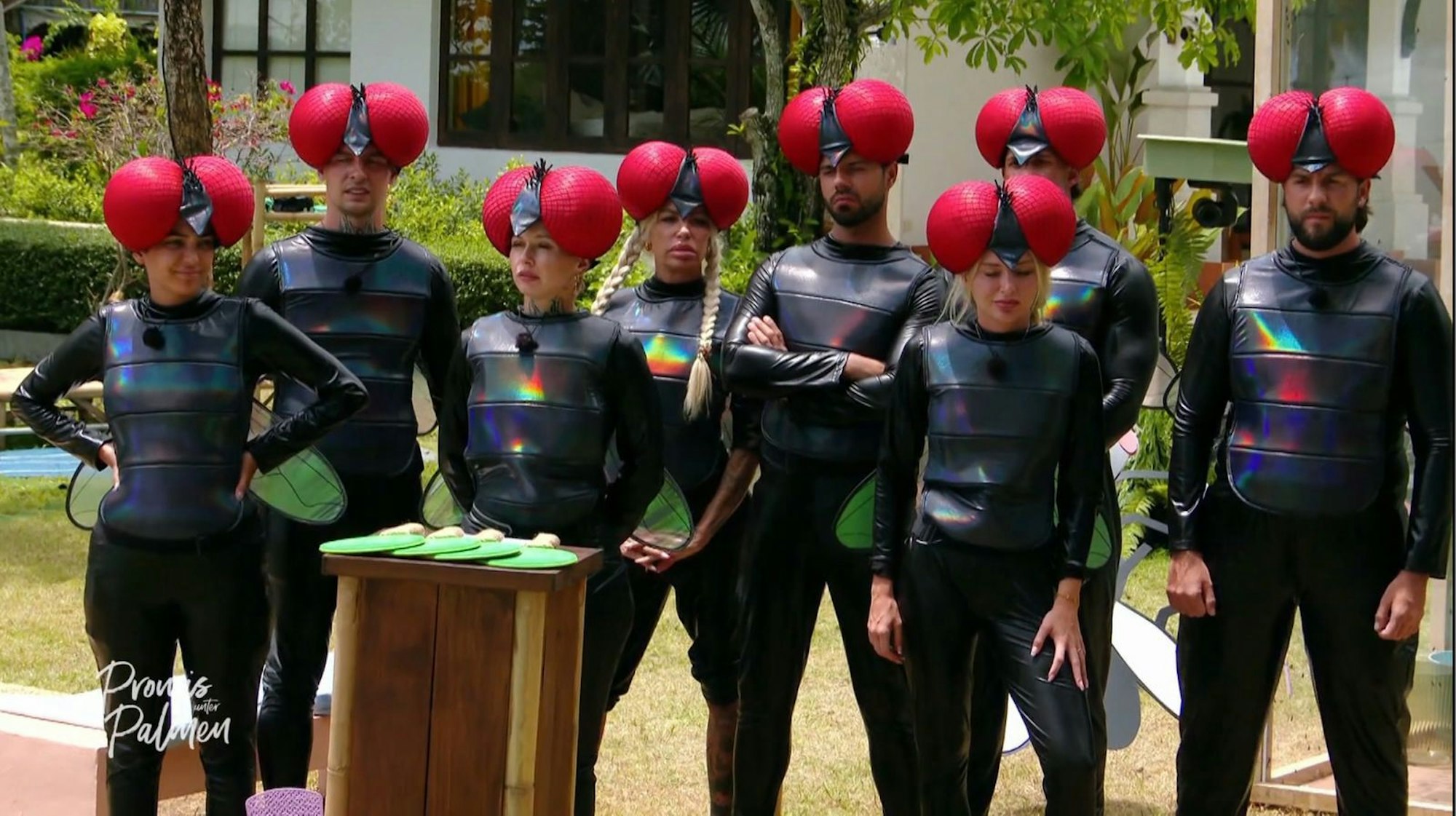 Im Schmeißfliegen-Kostüm müssen die Promis im „Kapitänsspiel“ in der „Stinkebox“ paarweise Aufgaben lösen. Das schnellste Paar bildet die Kapitäne. (Bild: Joyn)