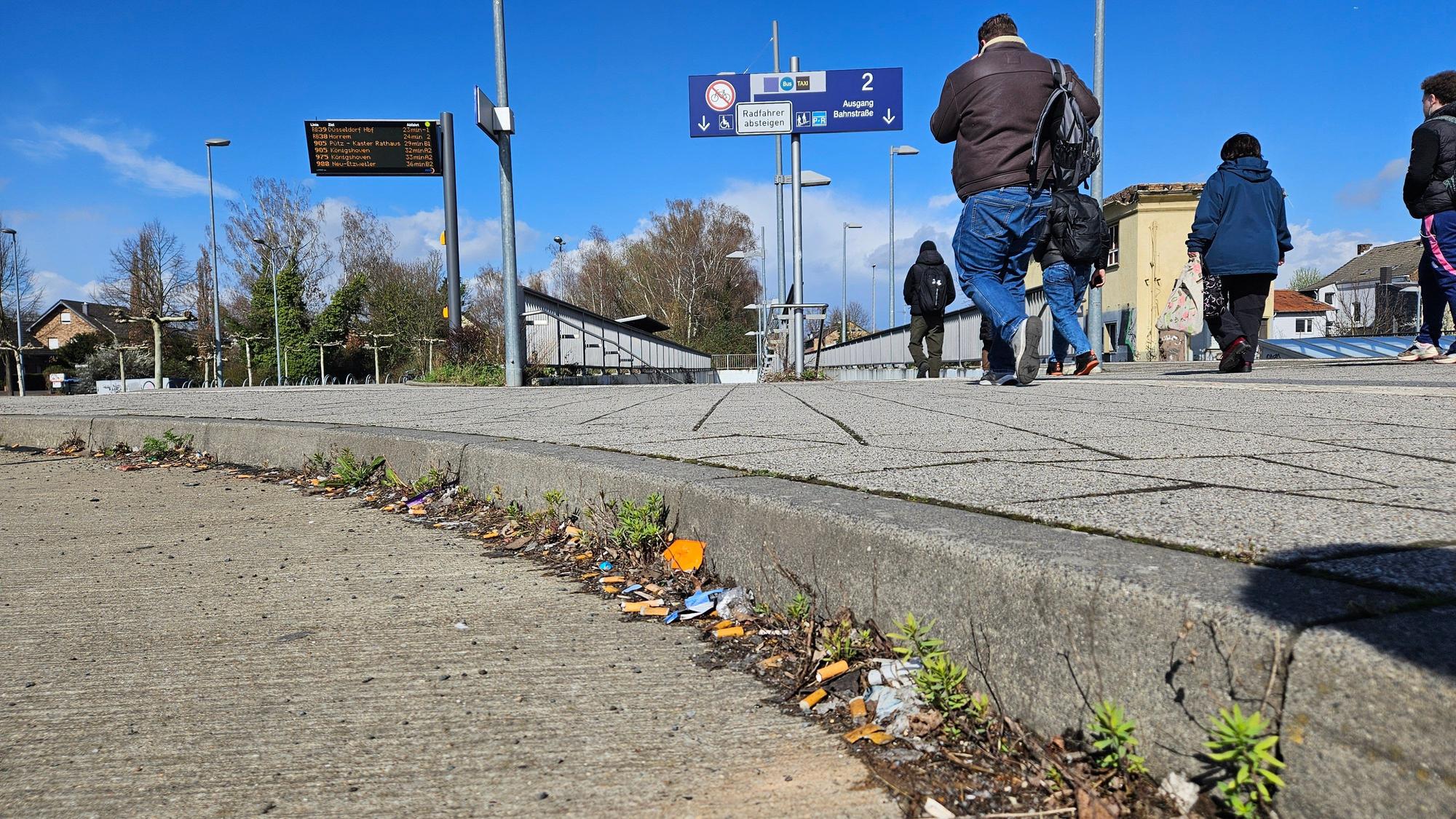 Zu sehen sind zahllose Zigarettenkippen neben einem Bordstein.