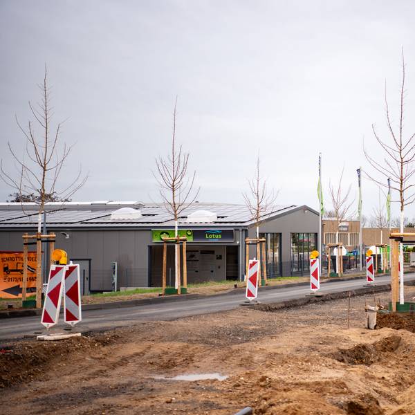 Entlang der aufgebaggerten Straße stehen Warnbaken und frisch gepflanzte Bäume.