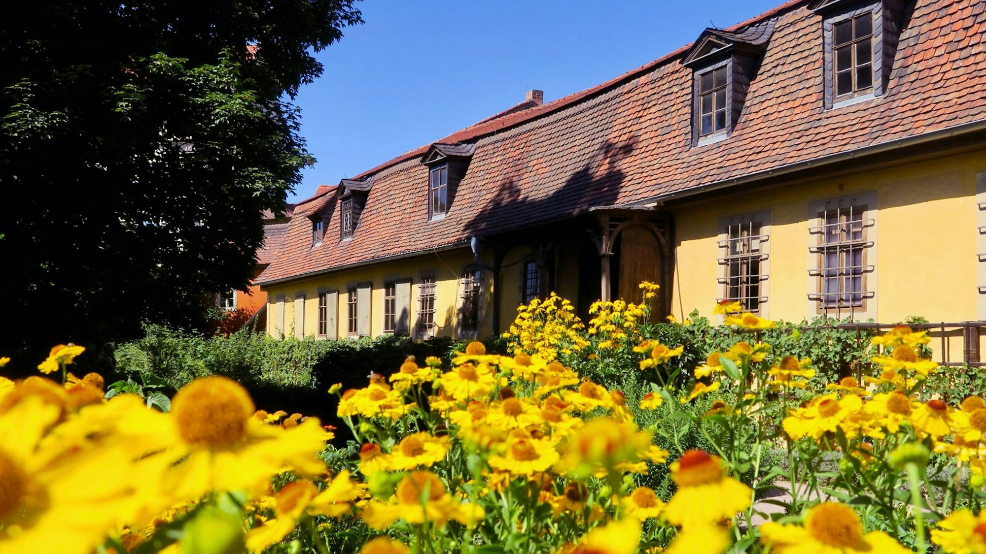 Goethes Hausgarten am Frauenplan