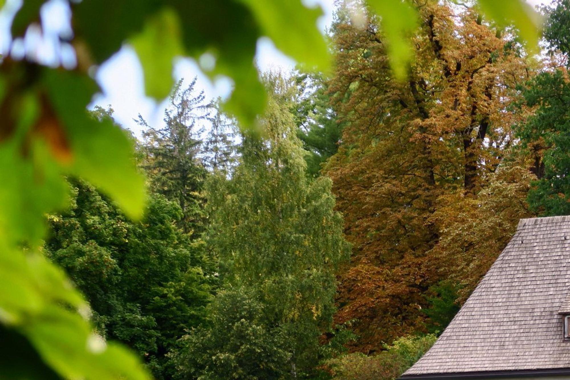 Goethes Gartenhaus