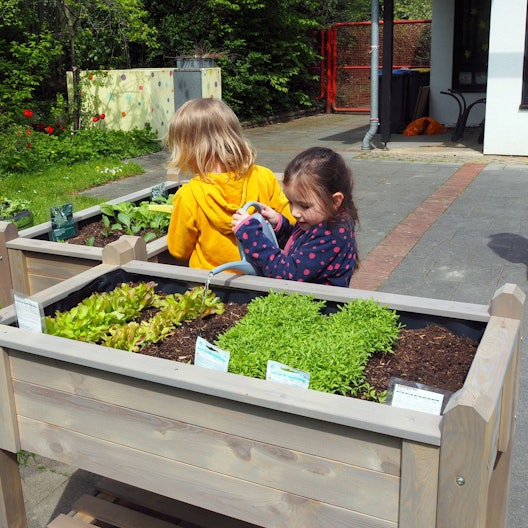 Hier wachsen Kräuter, Salate und Gemüse - was nicht gleich vom Beet genascht wird, landet in der Kita-Küche. 2023 finanzierte die Vogt-Stiftung zwei Hochbeete für die Kita Hermühlheimer Straße in Zollstock.