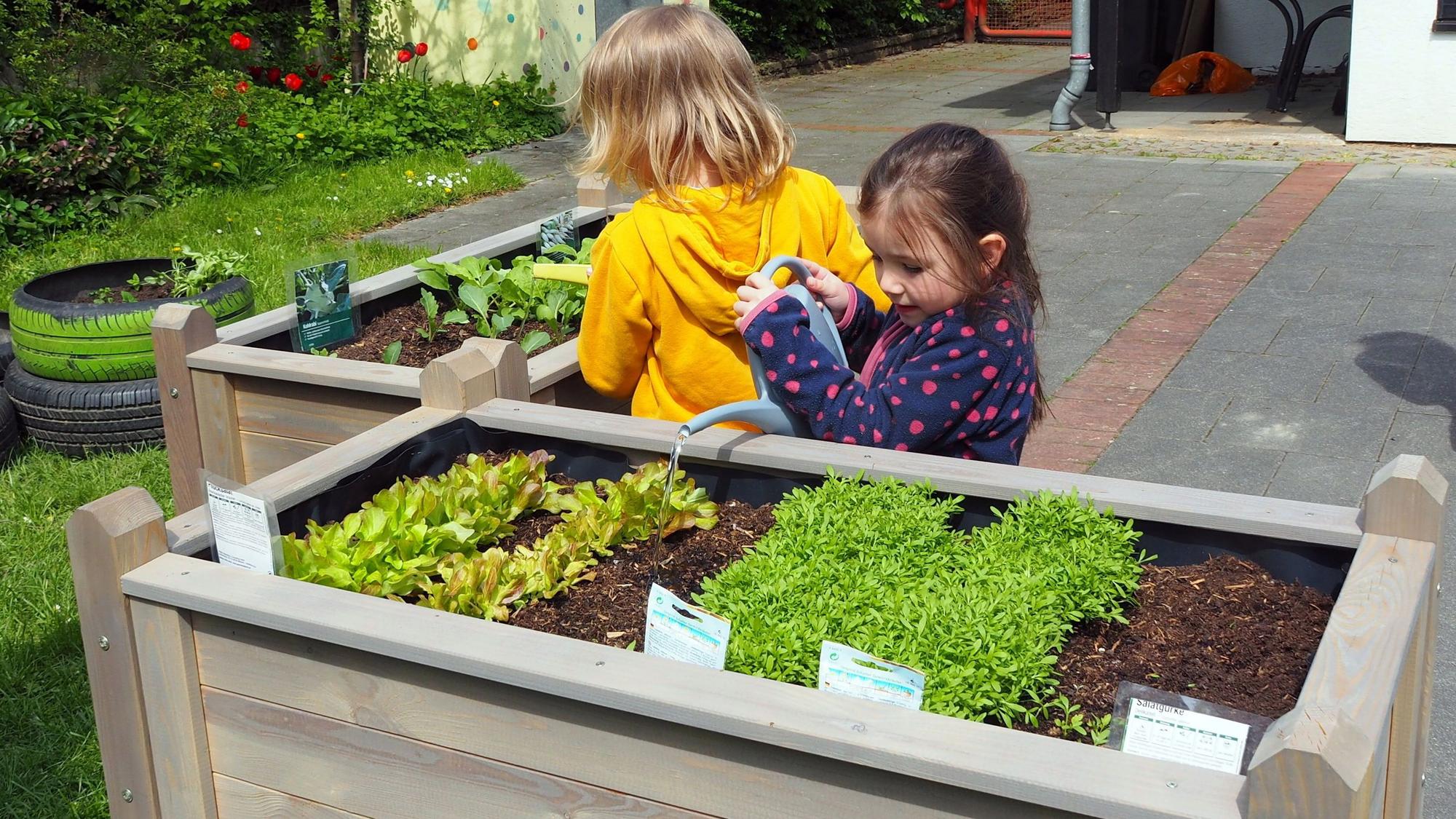 Hier wachsen Kräuter, Salate und Gemüse - was nicht gleich vom Beet genascht wird, landet in der Kita-Küche. 2023 finanzierte die Vogt-Stiftung zwei Hochbeete für die Kita Hermühlheimer Straße in Zollstock.