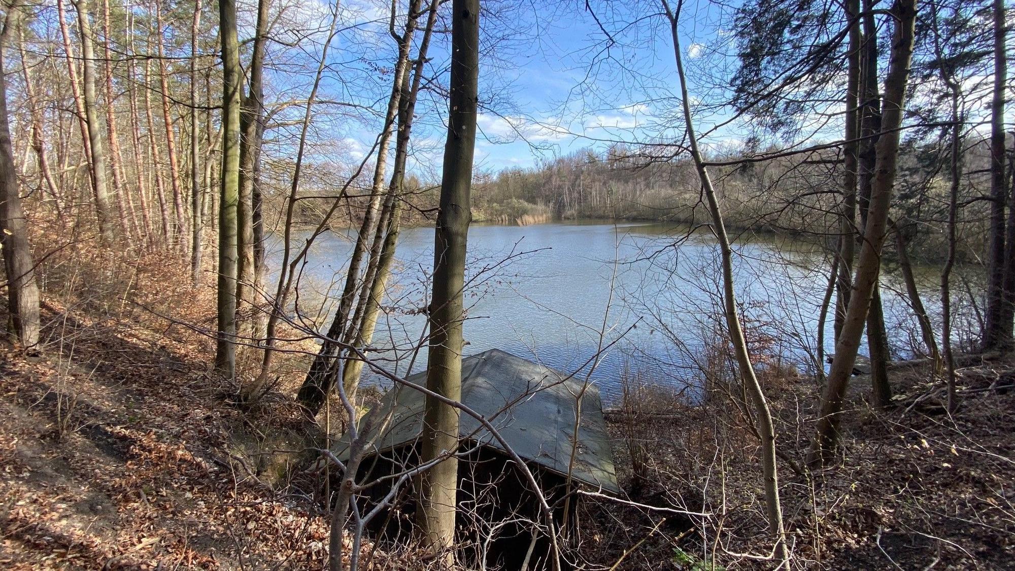Zu sehen ist ein kleines Gewässer, umgeben von Wald.