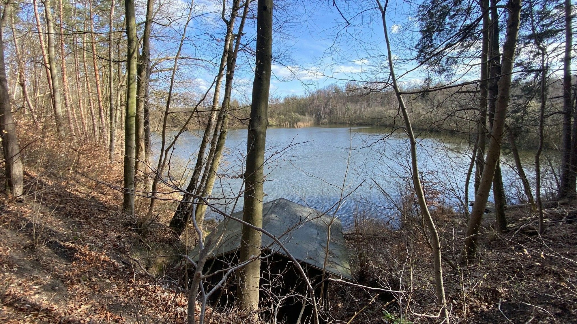 Zu sehen ist ein kleines Gewässer, umgeben von Wald.