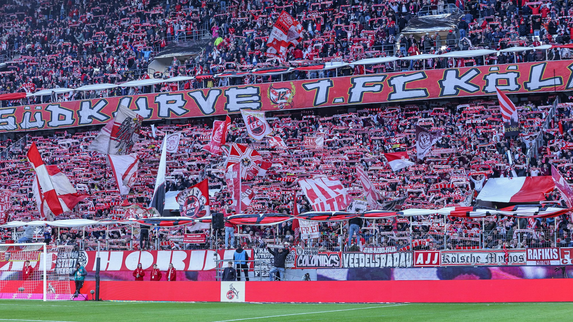 Beim Heimspiel gegen Mainz 05 soll es zu einem Übergriff gegen eine Influencerin gekommen sein.