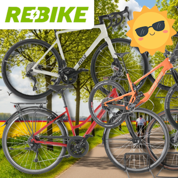 4 verschiedene Fahrräder vor einem Radweg im Frühling.