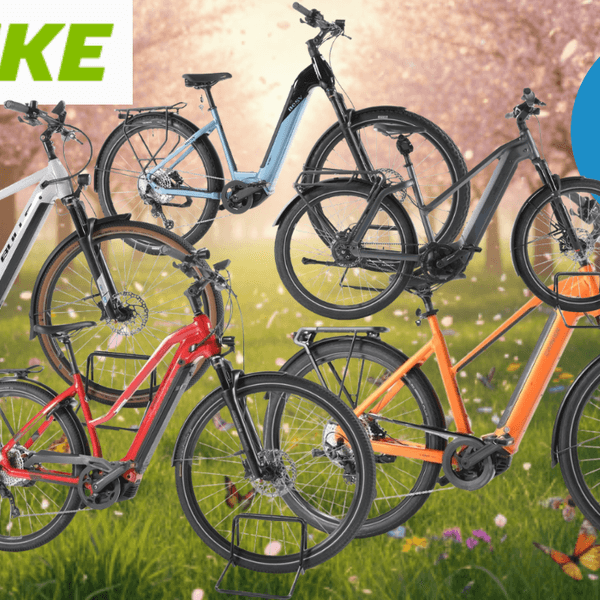 E-Bikes Trekking, City und E-Mountain-Bikes verschiedener Marken vor einer grünen Wiese mit bunten Blumen und blühenden Bäumen.