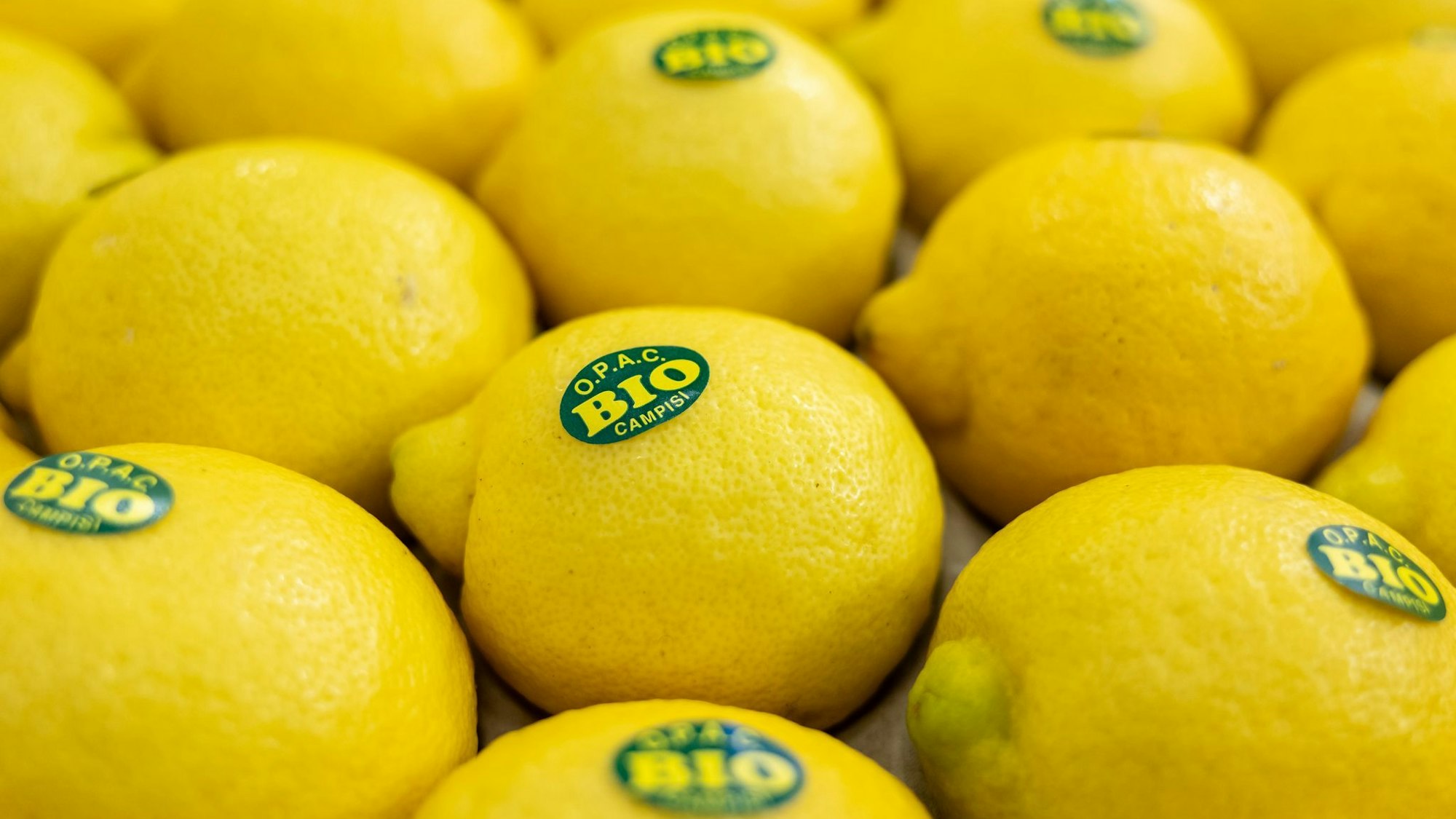 Zitronen auf der Biofach 2025