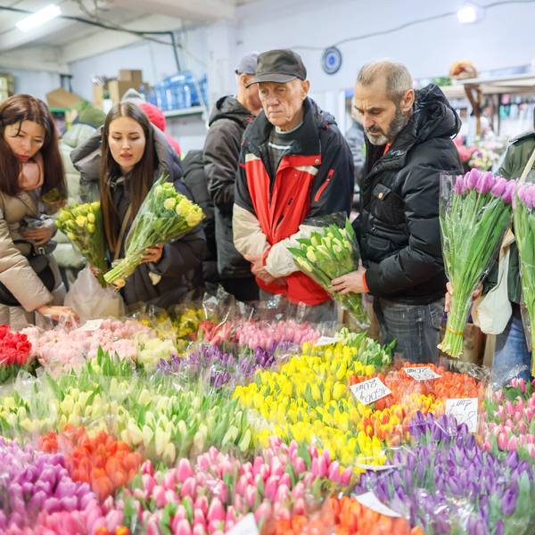 Tulpenverkauf auf einem Frühlingsmarkt.