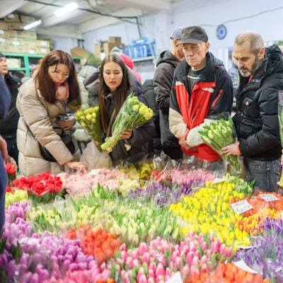 Tulpenverkauf auf einem Frühlingsmarkt.