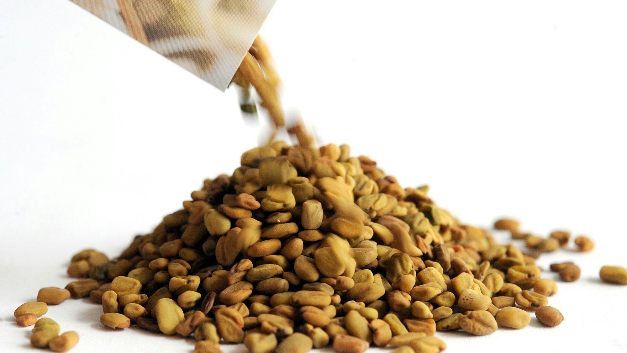 Saatgut von Bockshornklee-Sprossen