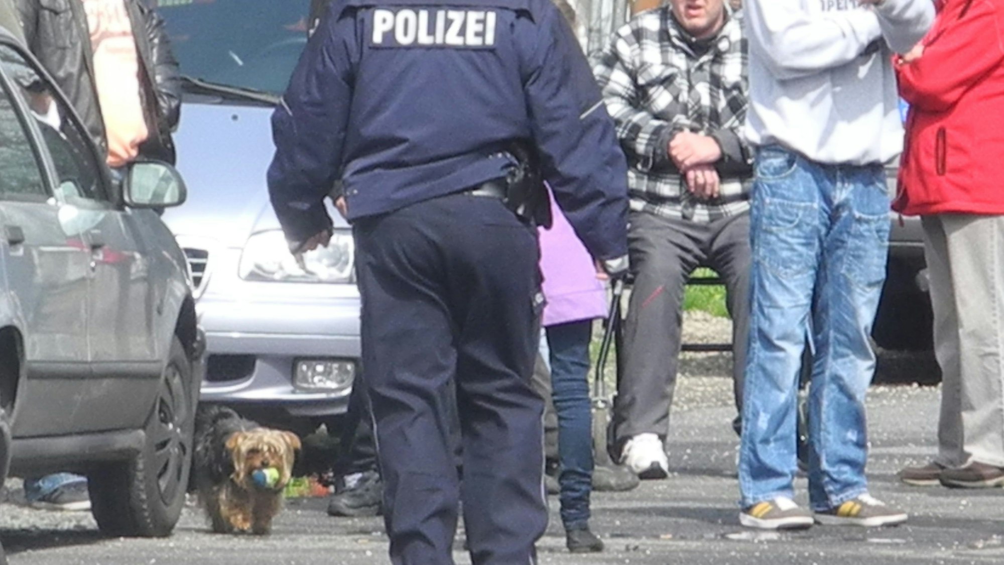 Ein Streit um diese Hündin löste die Tragödie am Takuplatz in Neuehrenfeld aus.
