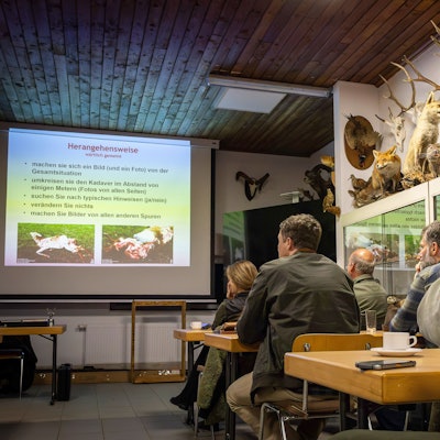 In der Schulung sind auf einer Leinwand typische Wolfsrisse zu sehen. Die Jäger schauen konzentriert hin. Ein Regal an der Wand ist mit Geweihen und ausgestopften Wildtieren dekoriert.