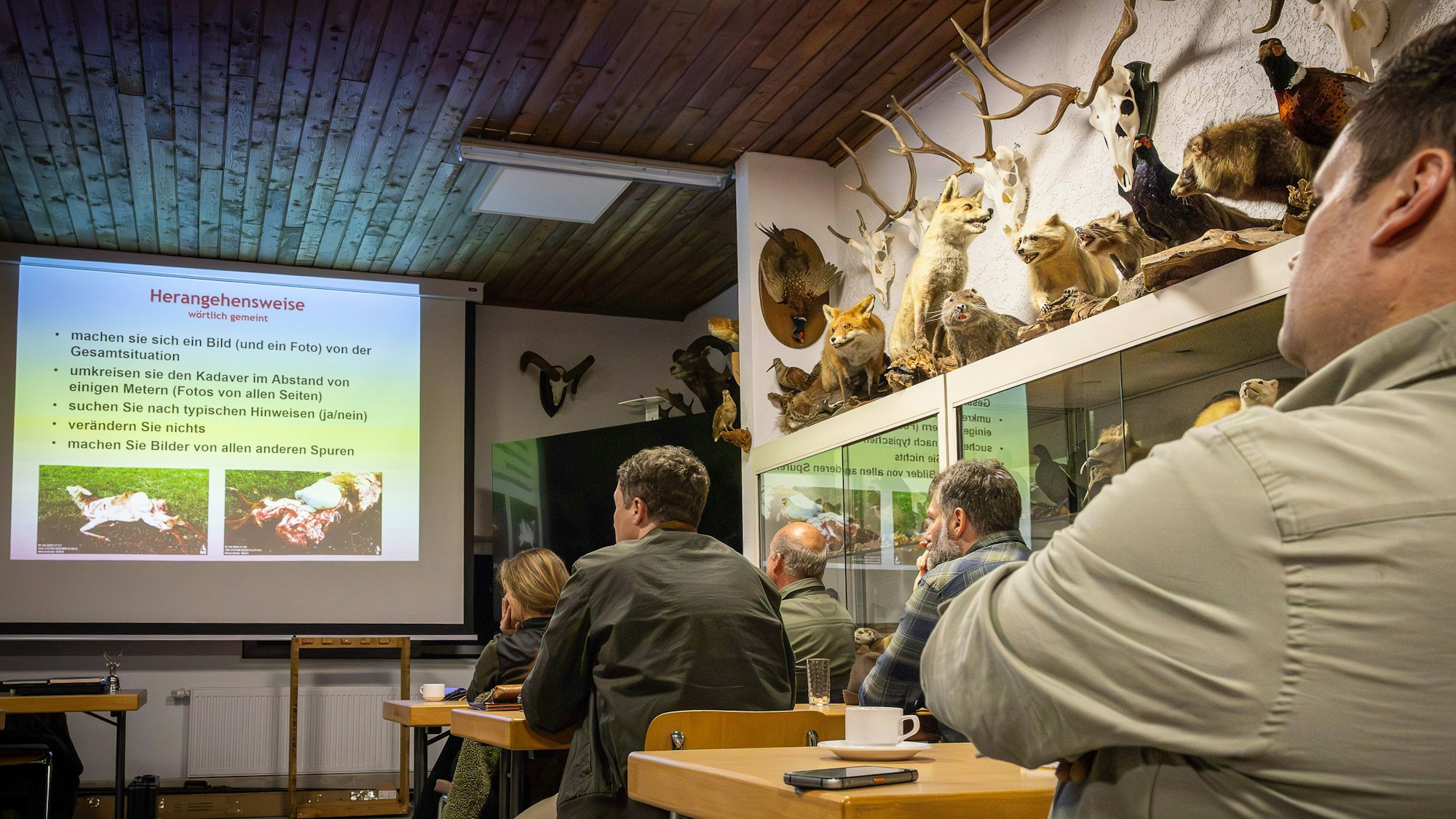 In der Schulung sind auf einer Leinwand typische Wolfsrisse zu sehen. Die Jäger schauen konzentriert hin. Ein Regal an der Wand ist mit Geweihen und ausgestopften Wildtieren dekoriert.