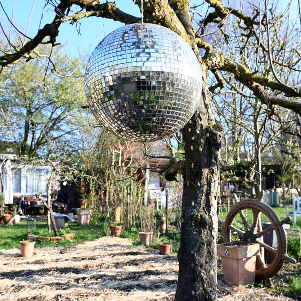Mit Discofeeling: eine Parzelle in Schlössers Gärten in Neuehrenfeld