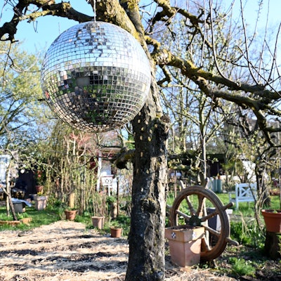 Mit Discofeeling: eine Parzelle in Schlössers Gärten in Neuehrenfeld