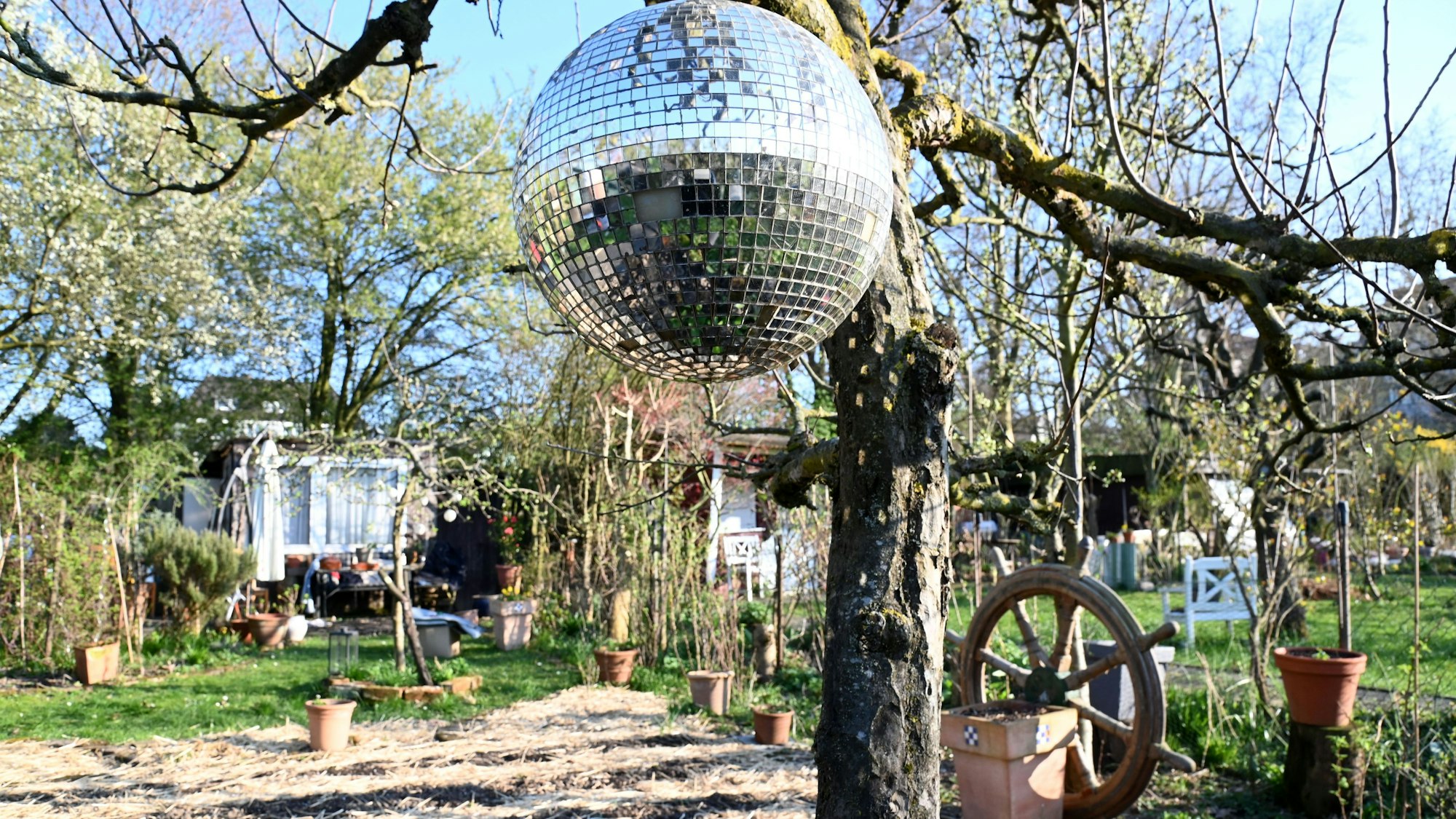 Mit Discofeeling: eine Parzelle in Schlössers Gärten in Neuehrenfeld