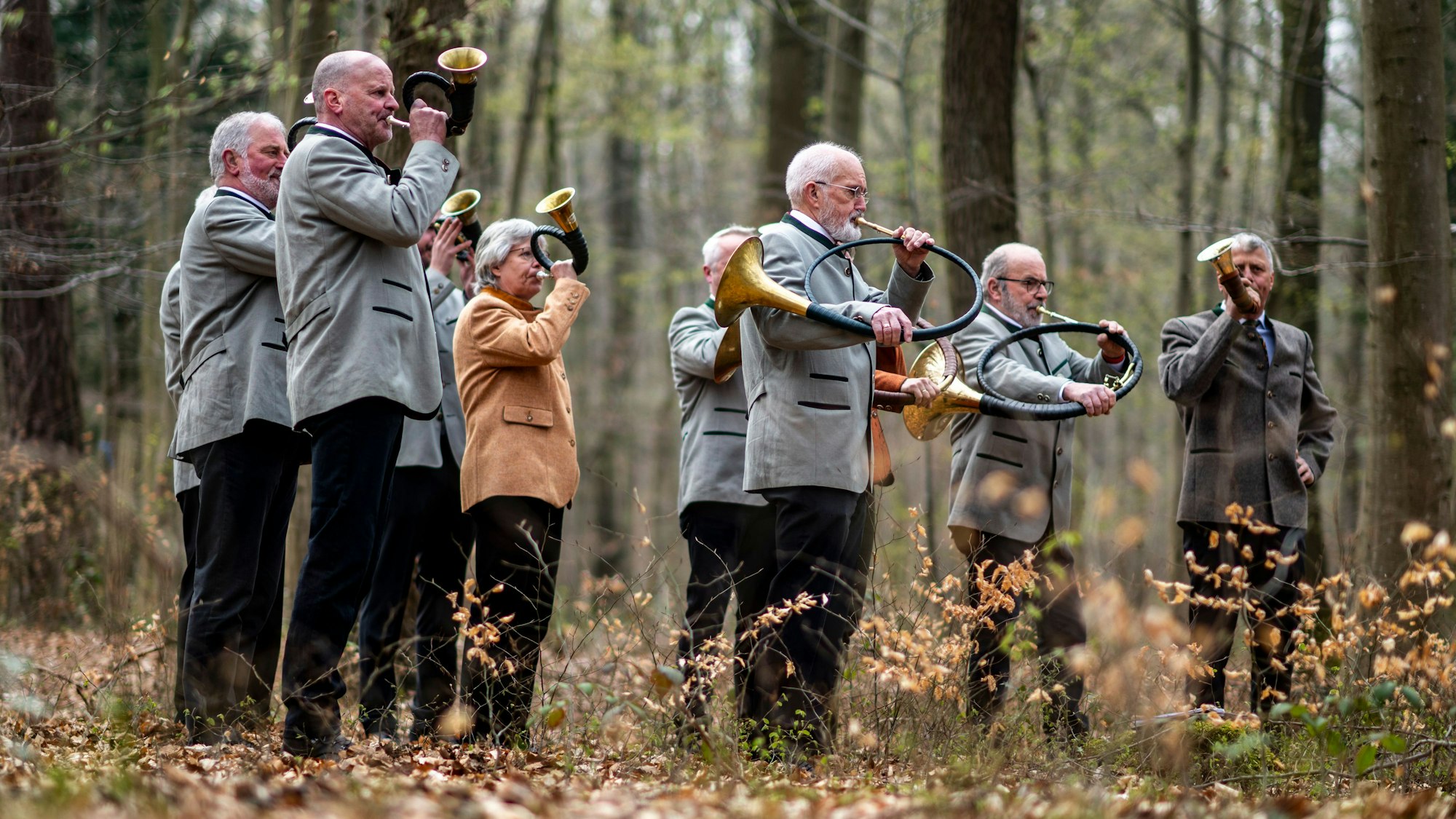 Das Bild zeigt die Musiker während ihres Auftritts.