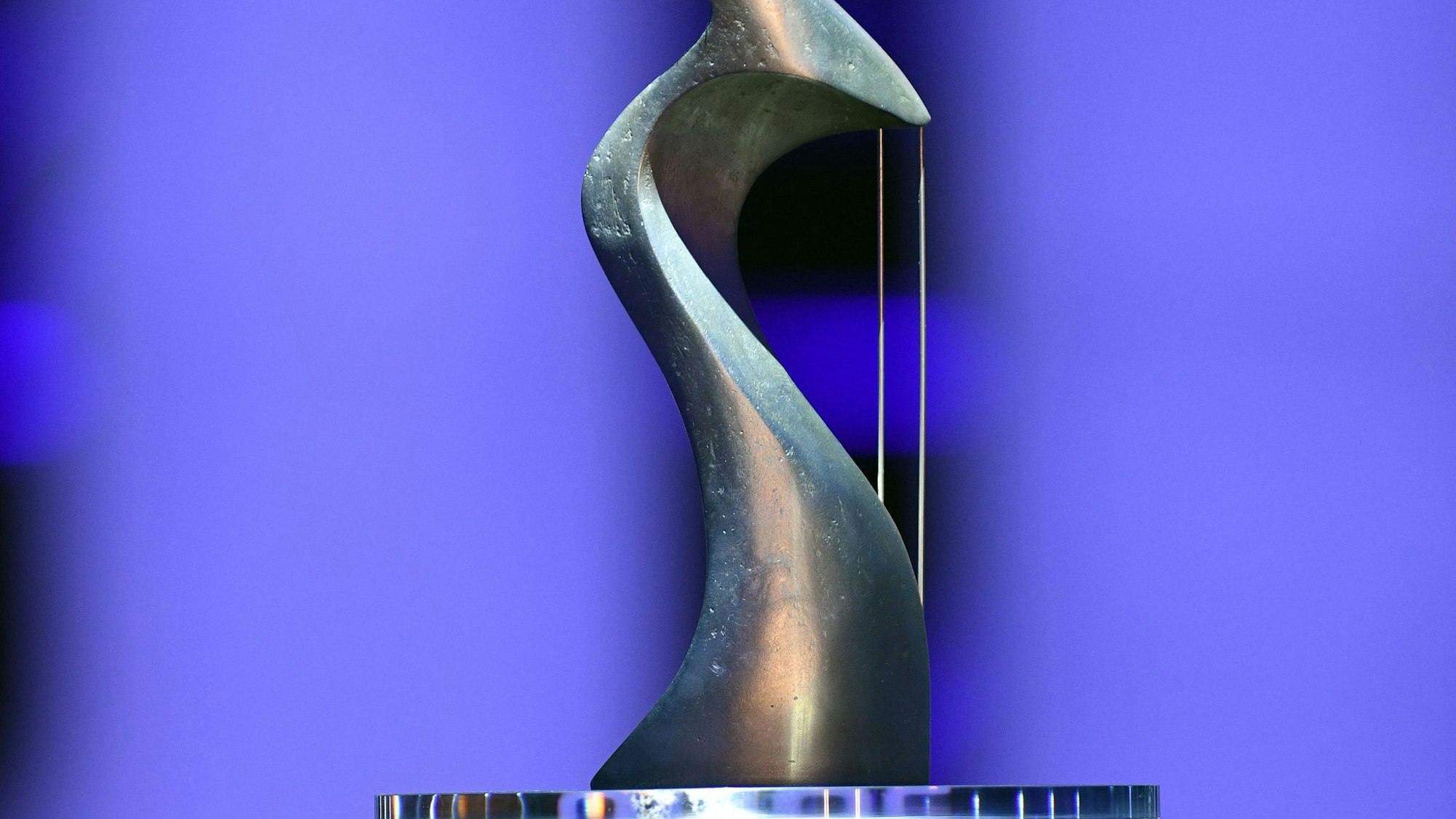 Pokal für Castingshow «Dein Song»