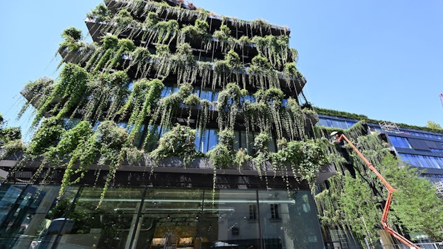 Neubau mit einer komplett begrünten Fassade