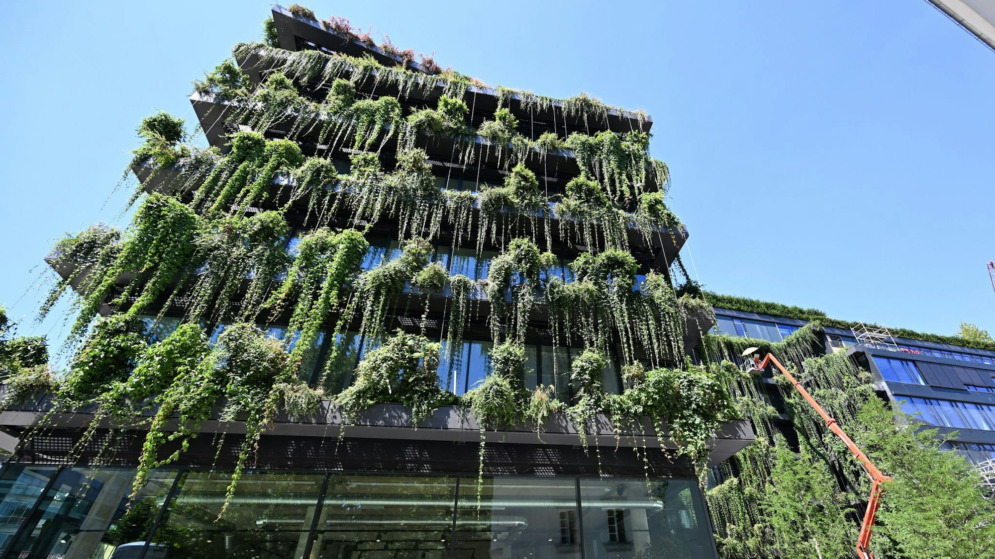 Neubau mit einer komplett begrünten Fassade