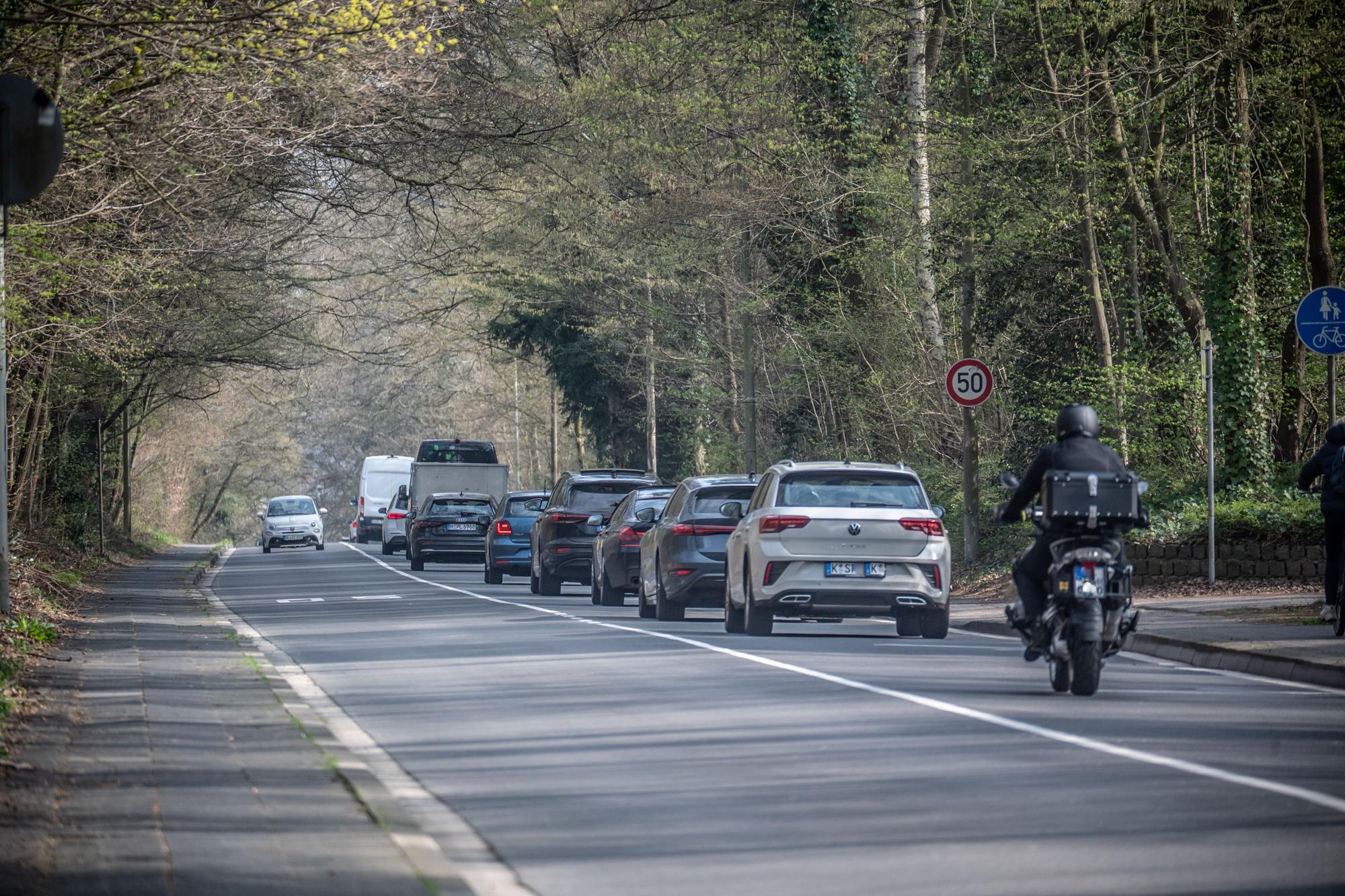 Bensberger Straße, Schlebusch: Hier sollen ab Montag Bäume gefällt werden. Bild: Ralf Krieger