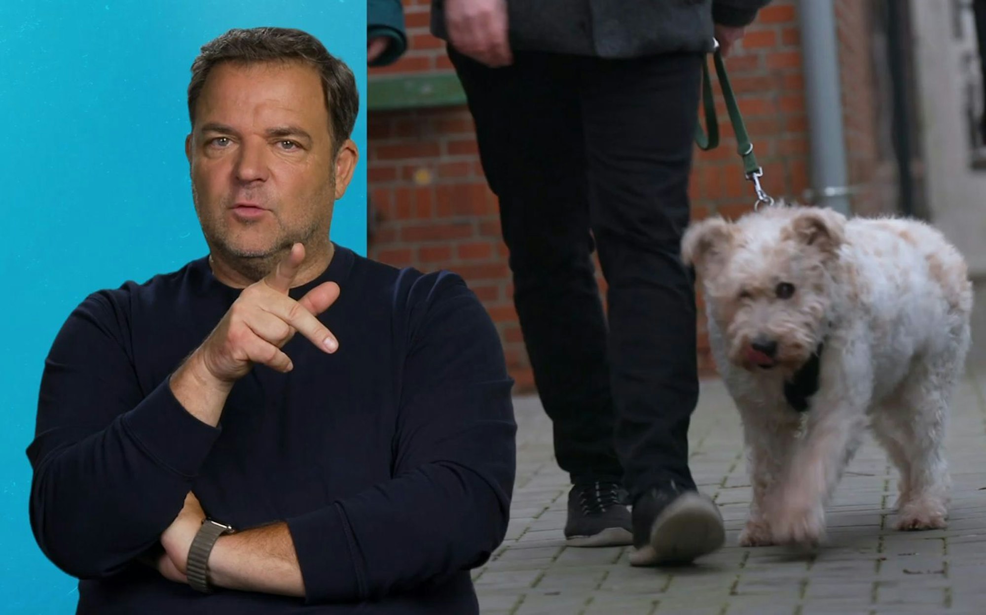 Martin Rütter sucht ein Zuhause für den fast blinden Rexi. (Bild: RTL)