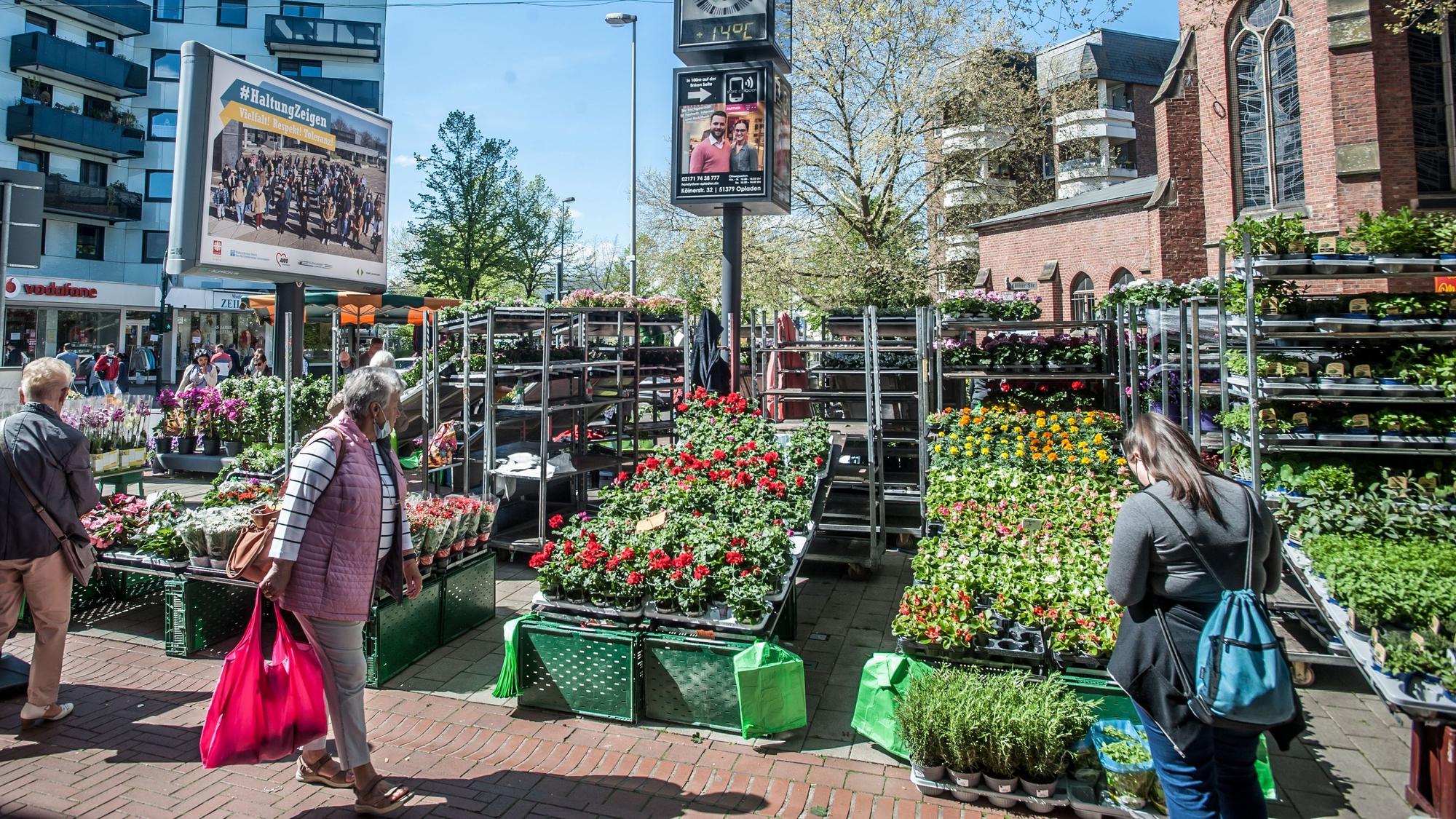 Blumen auf dem Opladener Ostermarkt